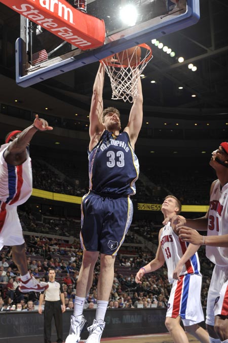 杨用精准的 杨用精准的